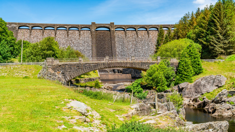 Murs de barrage en pierre entourés d'arbres