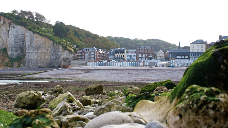 Vue de Yport, de la France et de sa plage avec des falaises voisines, à marée basse