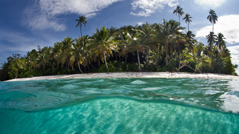 Eaux claires sous les îles de Raja Ampat, Indonésie
