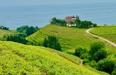 La région viticole cachée de l'Espagne dans le pays basque est un havre de vignoble avec vue sur l'océan et manger