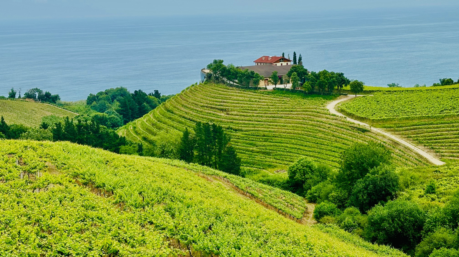 La région viticole cachée de l'Espagne dans le pays basque est un havre de vignoble avec vue sur l'océan et manger
