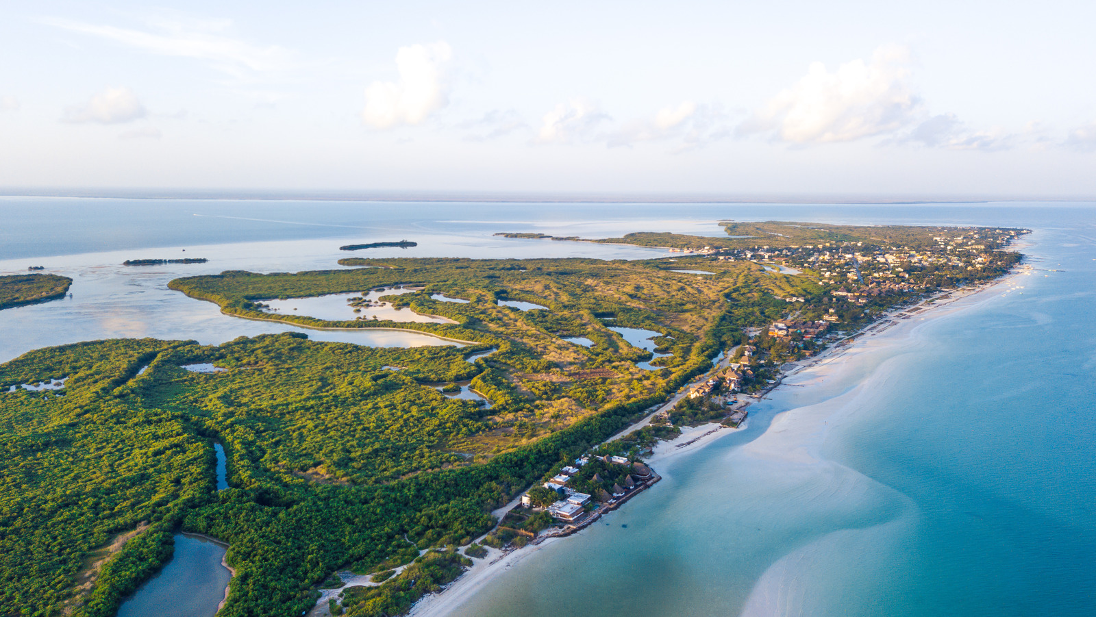 L'une des destinations d'observation des oiseaux les plus célèbres est un havre de biodiverse au Mexique avec des plages idylliques