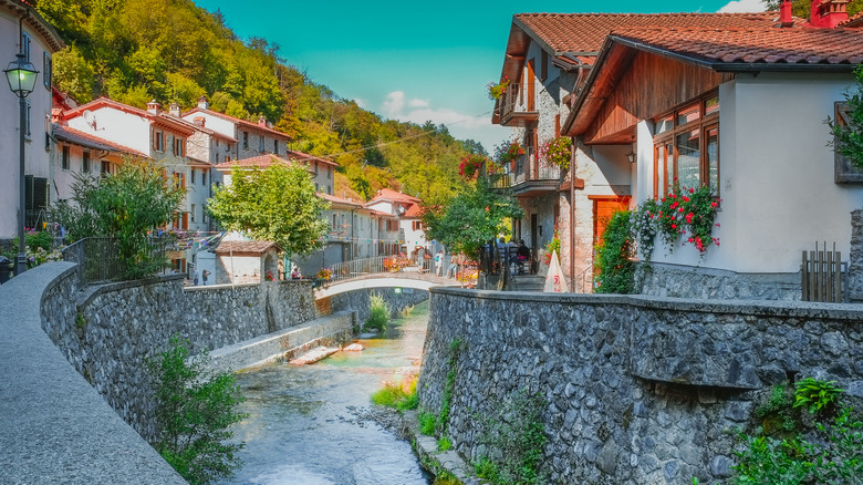 Coulant de ruisseau à travers le Fornovolasco du milieu dans les Alpes apuans