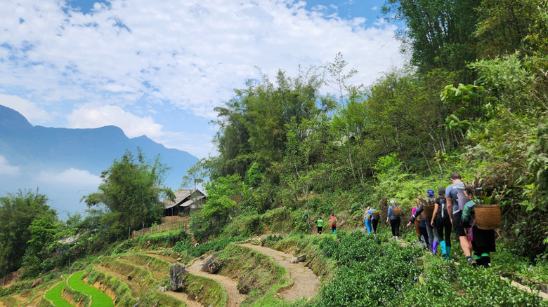 Trekking à l'habitant à Sapa, au Vietnam,