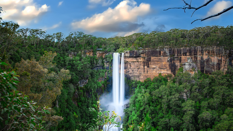 Fitzroy Falls, une cascade de chute de 260 pieds, plonge sur les escarpements de grès du parc national de Morton