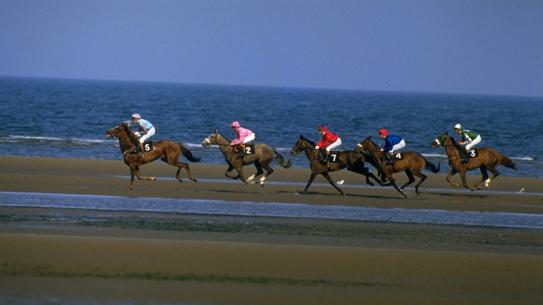 Laytown Horse Racing en Irlande