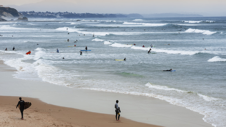 Surfeurs entrant dans l'eau à Biarritz, France