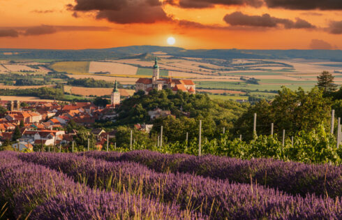 Niché entre Prague et Budapest se trouve la ville du livre de contes de Tchéie avec des vignobles, des châteaux et des dégustations de vin sans fin