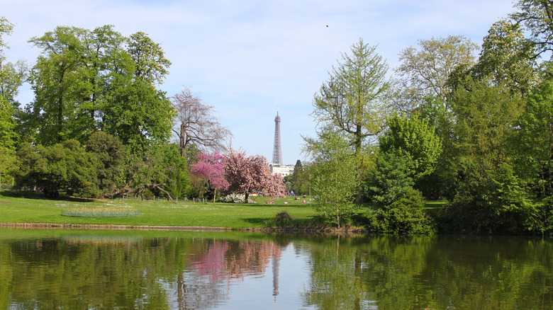 Vue de la tour Eiffel de Bois de Boulogne