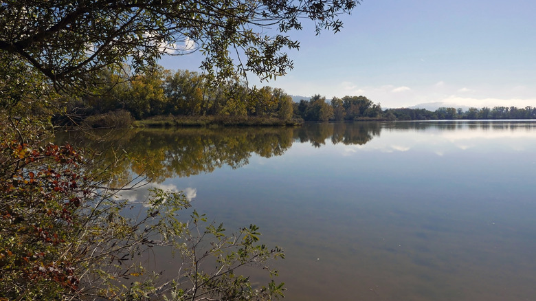 L'oasis amusant de la faune à Alviano, Italie