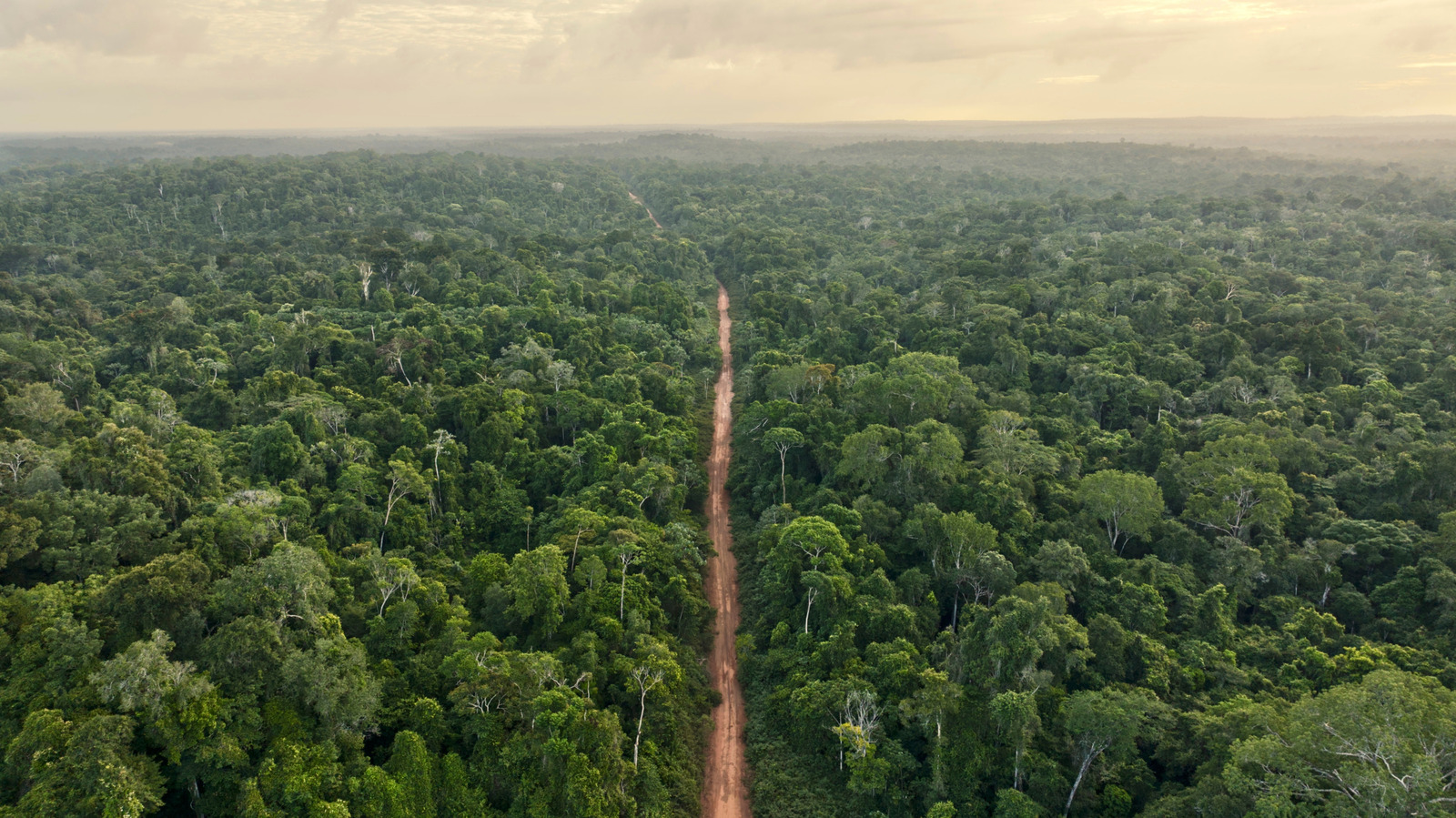 `` Le pays le plus vert du monde '' est un minuscule joyau boisé en Amérique du Sud avec des plages vierges et un riche mélange de cultures