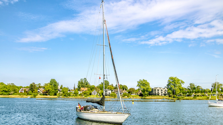 un bateau naviguant le long du schlei
