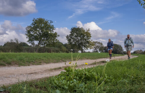 Le Camino Santiago du Portugal est une version pittoresque et moins courte de la célèbre randonnée à travers la France et l'Espagne