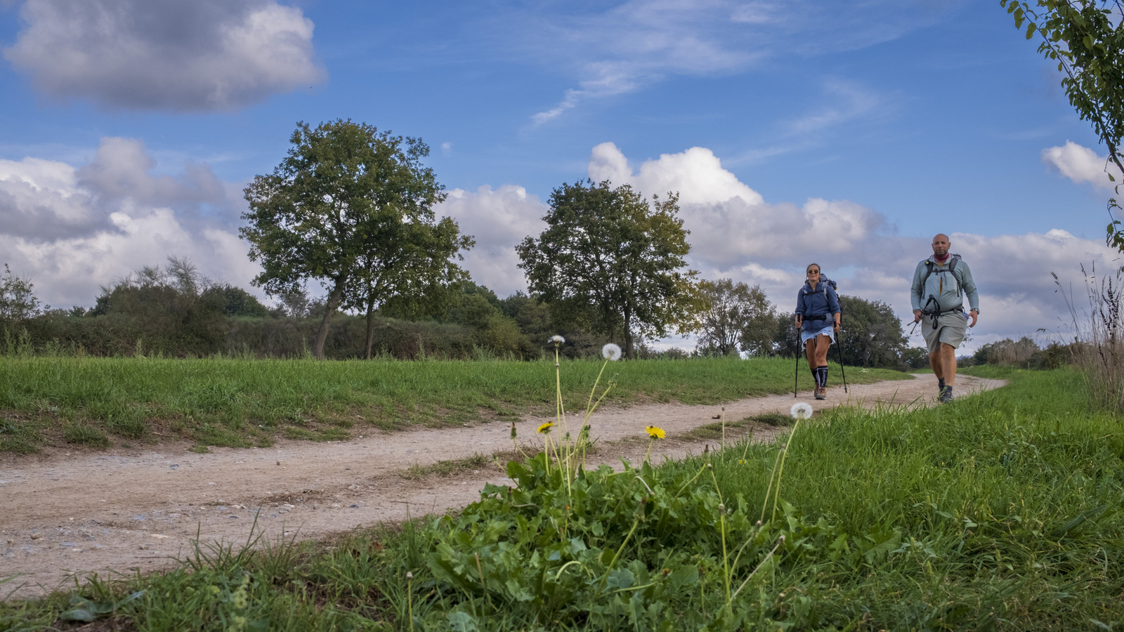 Le Camino Santiago du Portugal est une version pittoresque et moins courte de la célèbre randonnée à travers la France et l'Espagne