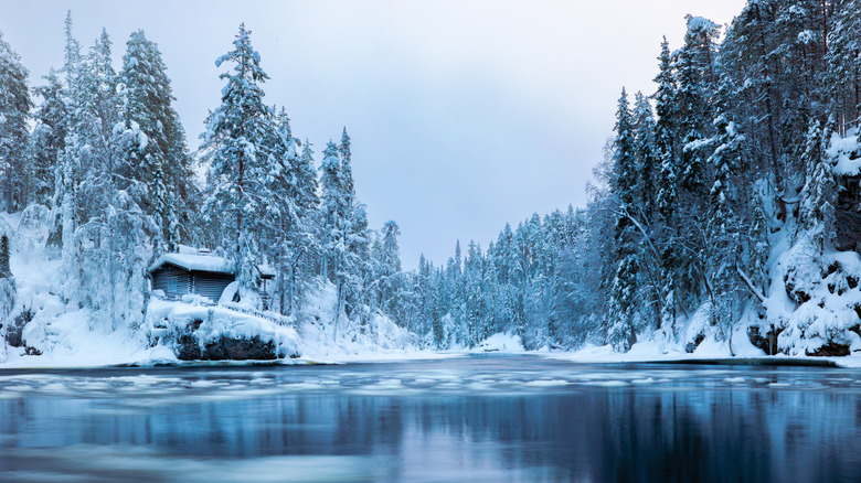 Conditions d'hiver glaciales dans le parc national d'Oulanka