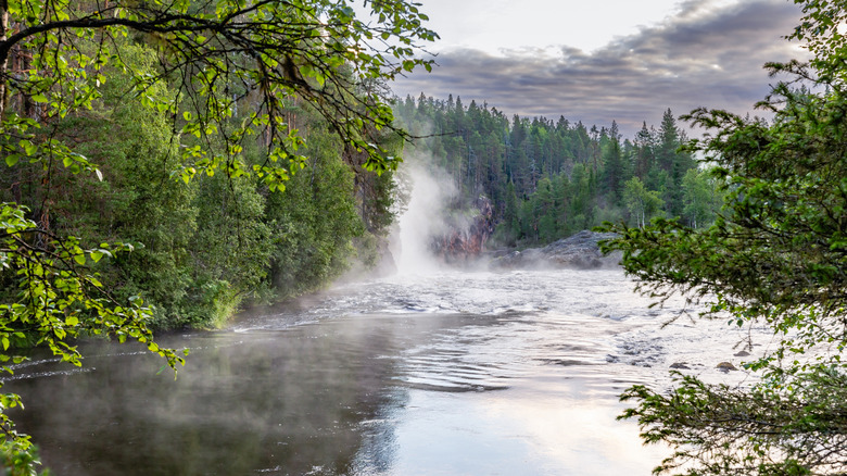 Misty River dans le parc national d'Oulanka