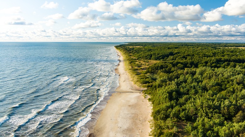 Plage sur la scission du Curonien, Lituanie