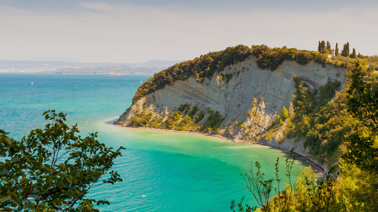 Bay Moon en Slovénie