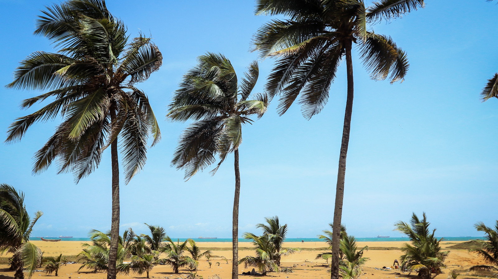Le pays des joyaux cachés de l'Afrique de l'Ouest a des plages tropicales dorées, une faune abondante et un marché vaudou animé