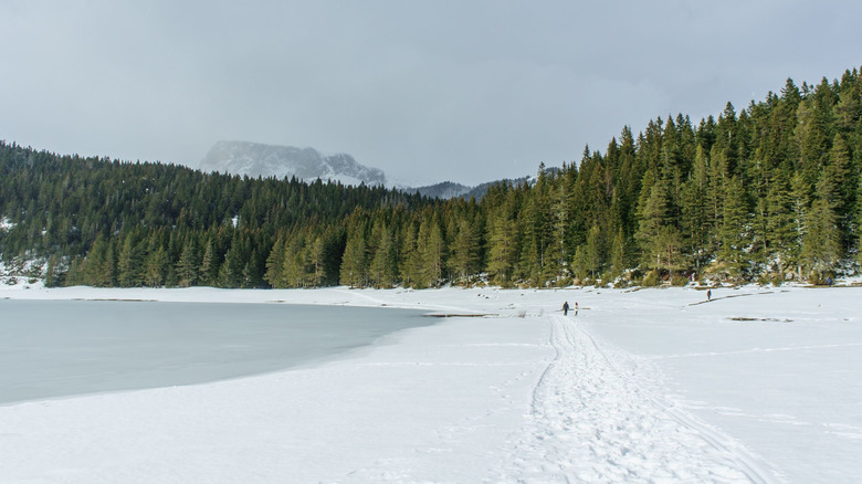 Lac gelé au parc national de Durmitor en hiver