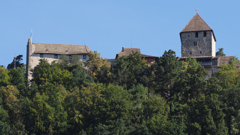Château de Hohenklingen perché sur une colline verte