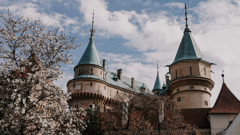 Des tourelles fantaisistes du château de Bojnice en Slovaquie entourée de fleurs de cerisier au printemps
