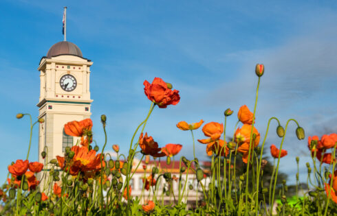 `` La plus belle ville de la Nouvelle-Zélande '' a des visages amicaux, des marchés du vendredi et un grand appel à la retraite
