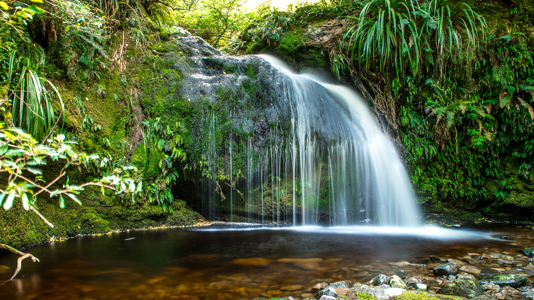 Cascade à Whisky Gully, près de Tapanui