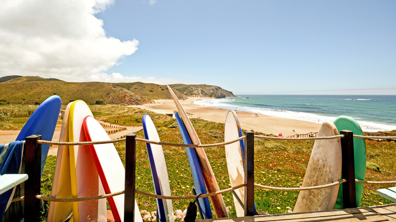Praia do Amado, plage et surfeur dans l'Algarve, au Portugal,