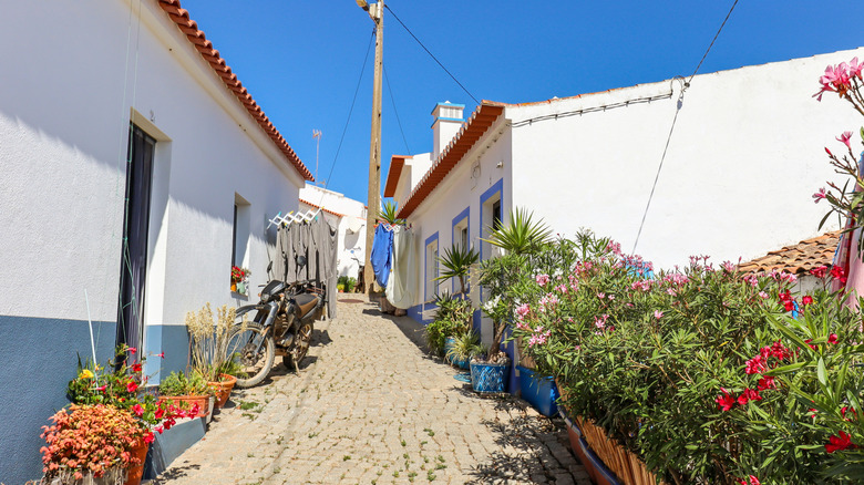 Village Street avec des bâtiments résidentiels de la ville Carrapateira, dans la municipalité d'Aljezur dans le district de Faro, Algarve Portugal