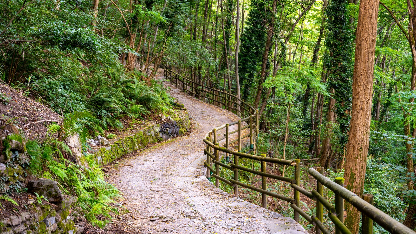 Le chemin d'ancien trajet du lac Como et des falaises relie les villages idylliques au bord de l'eau, les forêts luxuriantes, les châteaux médiévaux