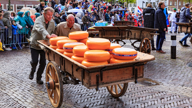 Le marché du fromage alkmaar