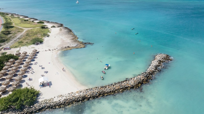 Plage de villégiature sur Aruba avec des eaux bleues et du sable blanc