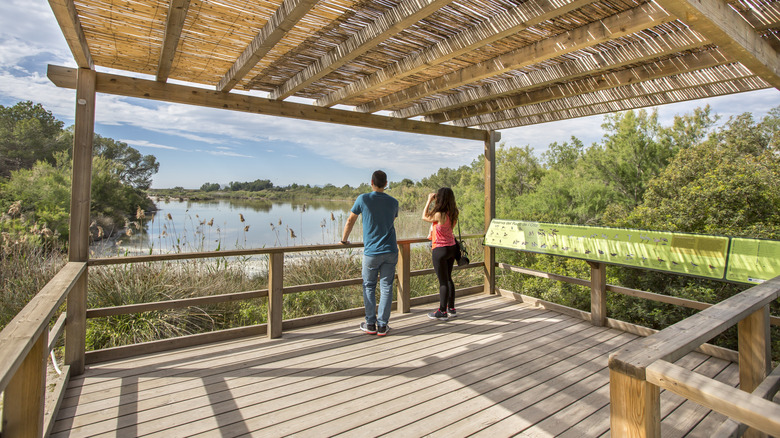 Les visiteurs regardent le lagon à partir d'un pont d'observation des oiseaux