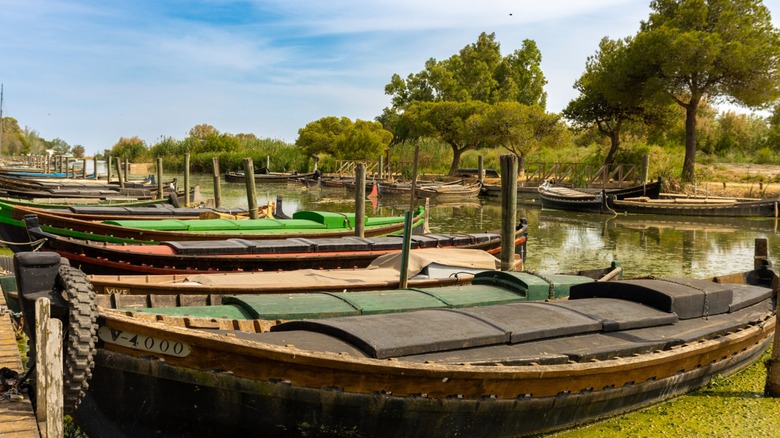 Des bateaux de pêche en bois amarrés à Albufera Natural Park