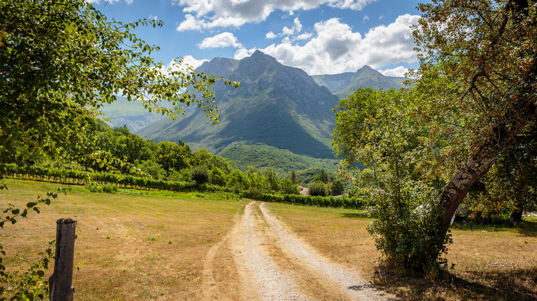 Les crêtes vertes des montagnes de Sibilini, Marche