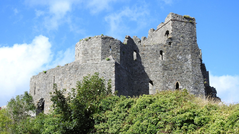 Un château en ruines à Carlingford, en Irlande