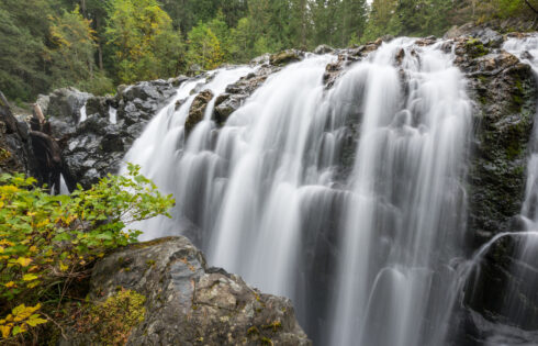 Cette ville en bordure de route de l'île de Vancouver a des papillons tropicaux, de délicieux plats et des cascades de la forêt tropicale