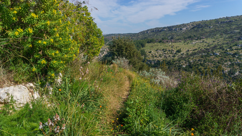 Un chemin de randonnée et des paysages verdoyants dans la valle dell'anapo en Sicile