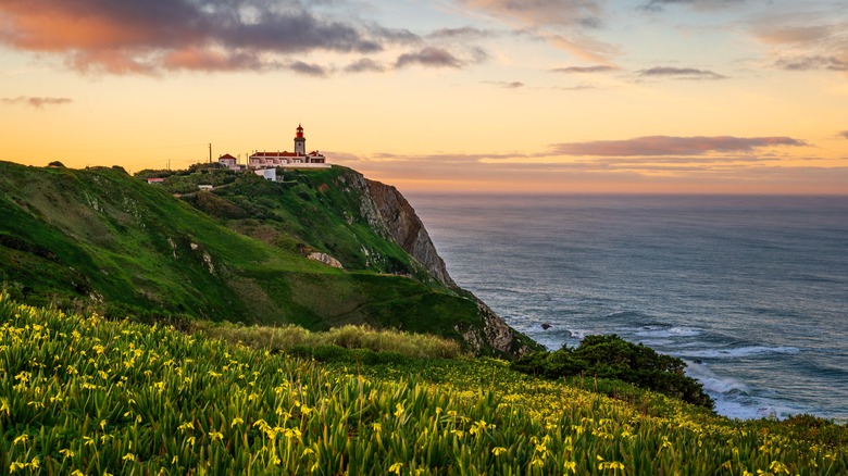 Fleurs sur les falaises avec phare derrière au coucher du soleil