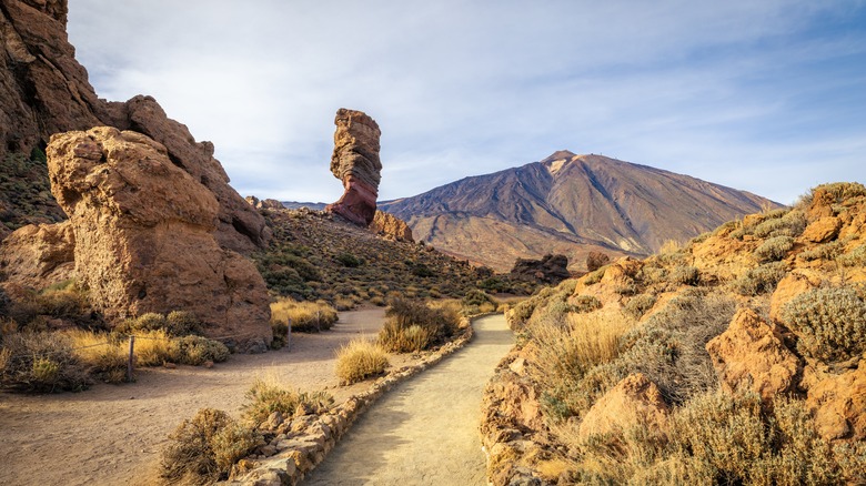 Un sentier enroulant dans le parc national de Teide à Tenerife