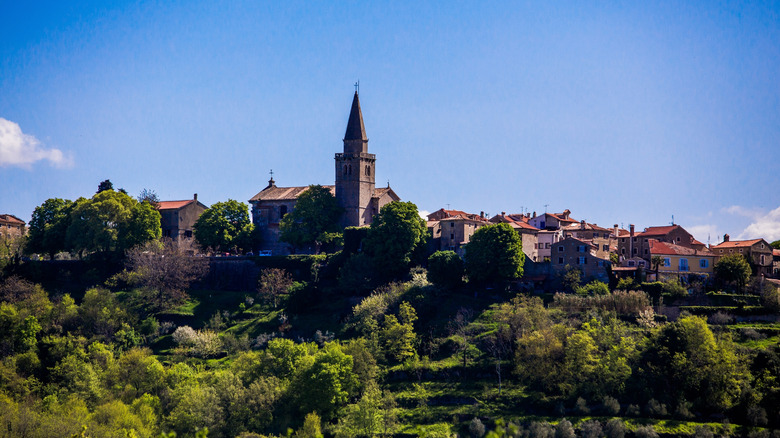 Spire, toit et arbres de l'église angulaire de Grožnjan