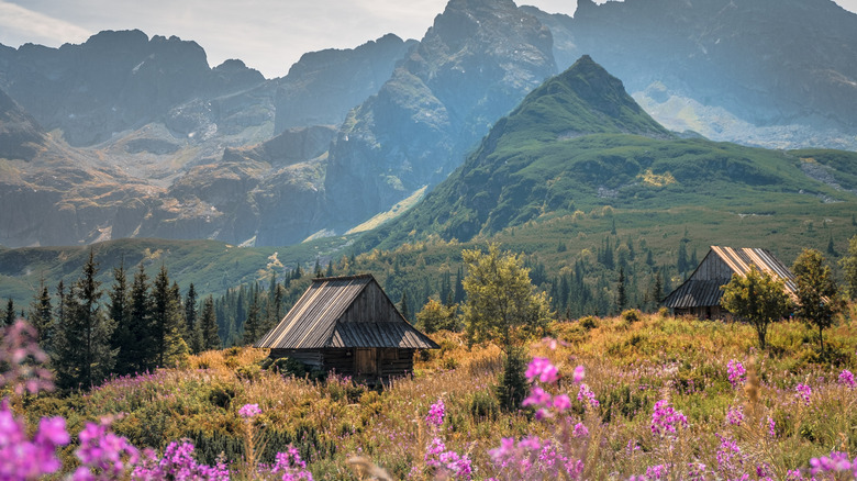 Huts de berger traditionnels dans le parc national de Tatra, Pologne