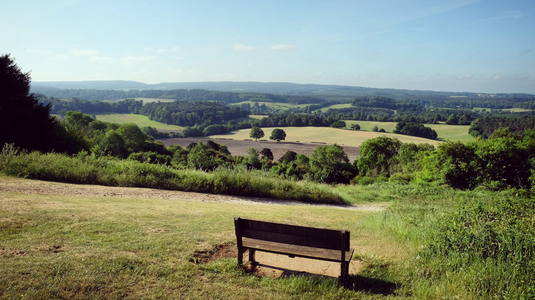 Vues sur le coin de Newland, Surrey