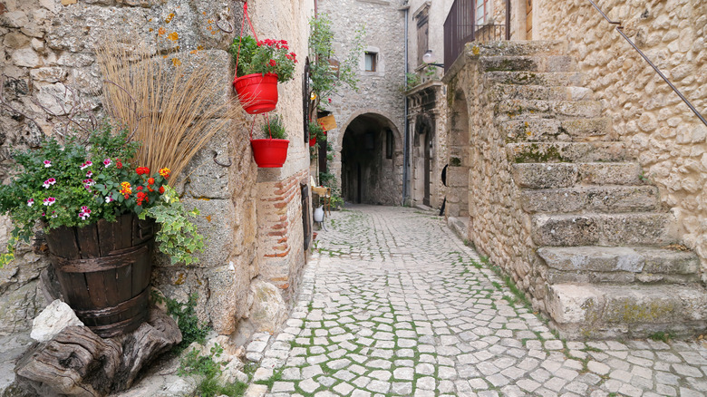 Une rue pavée menant à travers un passage cintré.