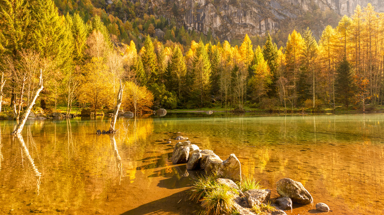 Feuillage dans la vallée de Mello sur le lac
