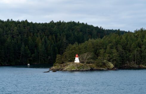 Ce parc côtier canadien est une visite incontournable pour les amateurs de nature et offre une incroyable observation des baleines à base de côte