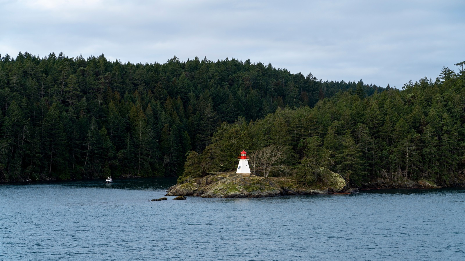 Ce parc côtier canadien est une visite incontournable pour les amateurs de nature et offre une incroyable observation des baleines à base de côte