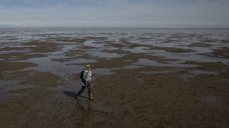 Une personne marchant à travers des boue à Broomway au large des côtes d'Essex, en Angleterre,
