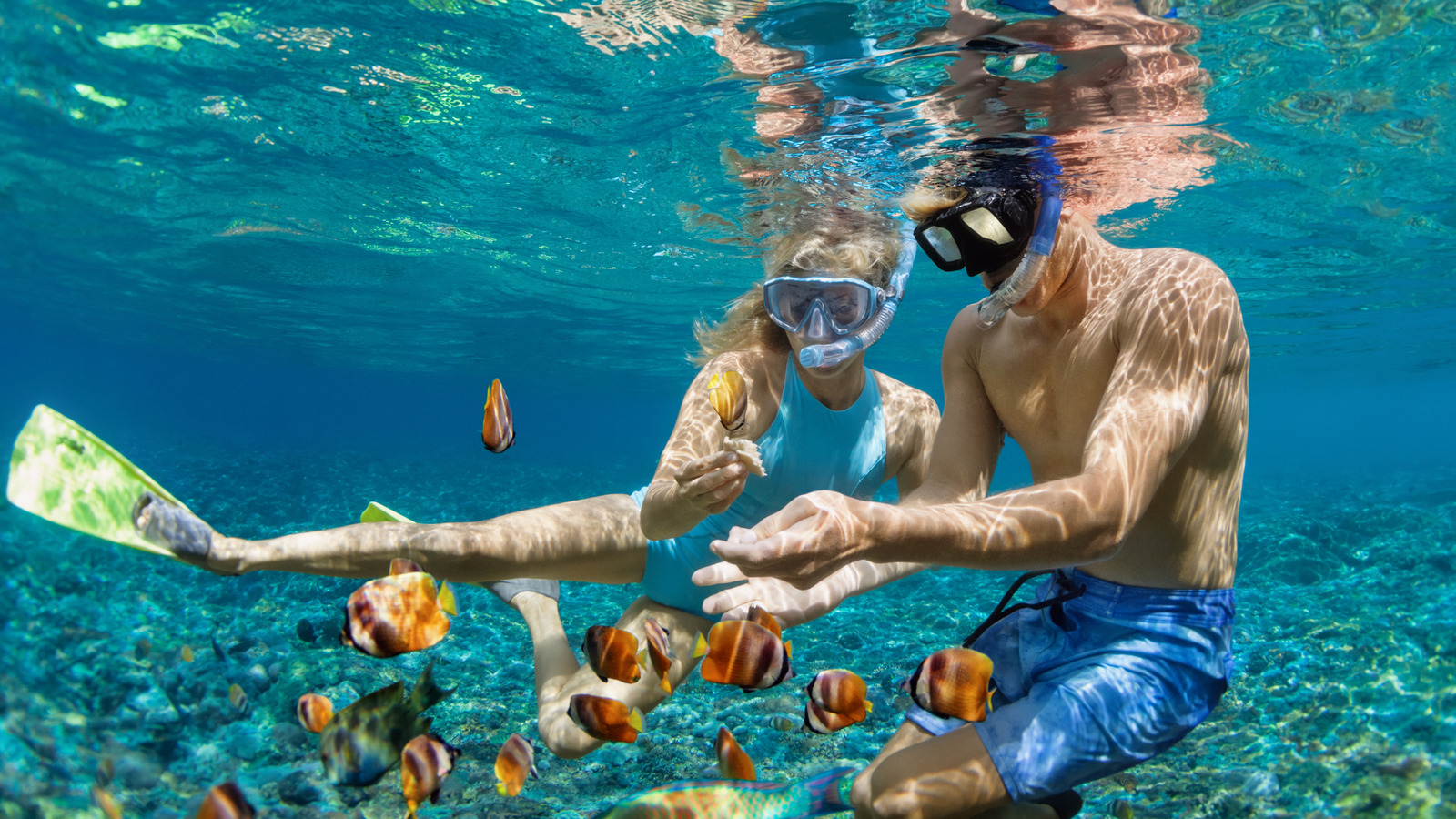 Les meilleurs (et pires) mois pour la plongée en apnée dans les Caraïbes